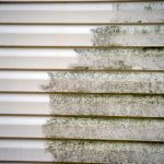 Siding Cleaning in Dallas, Texas
