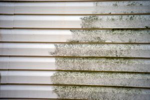 Siding Cleaning in Dallas, Texas